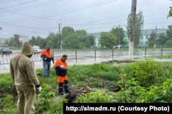 Комунальні служби Сімферополя розчищають вулиці міста від дерев, що впали під час опадів, 31 травня 2023 року