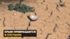 Велика посуха. Як Крим перетворюється на пустелю (відео)