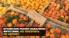 Кримські ринки: скільки коштують фрукти? (відео)