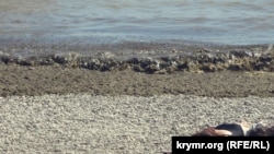 Рівень забруднення води у Дніпрі у 28 тисяч разів перевищує показники норми, заявляє міністр охорони здоров'я України Віктор Ляшко. Російська влада Криму запевняє, що півострову у зв'язку із забрудненням Чорного моря нічого не загрожує